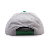 Dublin Shamrock 1759 Snapback Baseball Cap, Grey-green