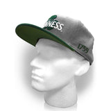 Dublin Shamrock 1759 Snapback Baseball Cap, Grey-green