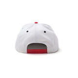 Super Mario Bros. Japanese Mario Logo Snapback Baseball Cap, Unisex, Grey-red