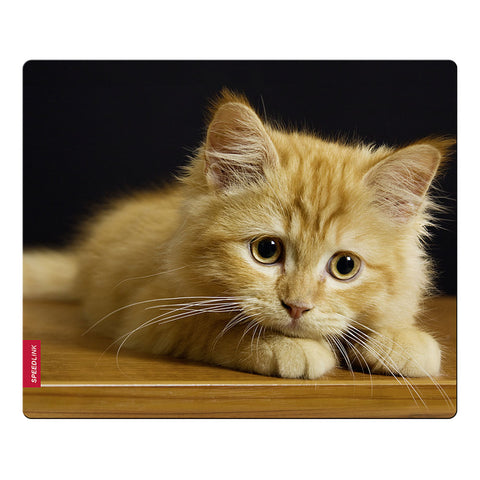 Adorable Kitten Silk Mousepad