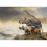 Edcua Animal On The Edge Of A Cliff 500pcs Jigsaw Puzzle